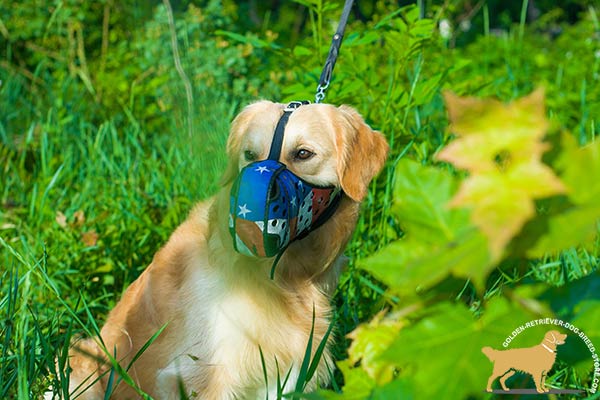 Golden-Retriever leather muzzle of high quality adjustable  for stylish walks