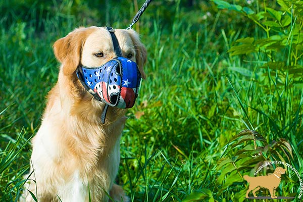 Golden-Retriever leather muzzle with rust-resistant hardware for professional use