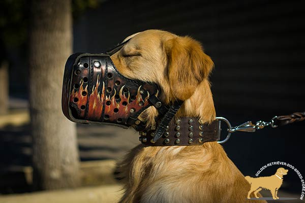Golden-Retriever leather muzzle exclusive with handmade painting for safe walking