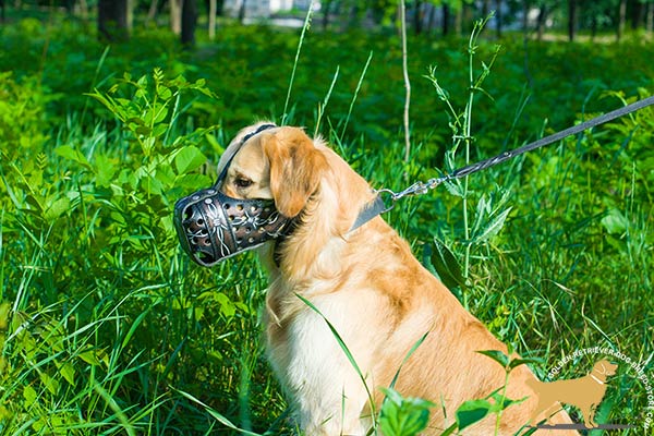 Golden-Retriever leather muzzle exclusive with painting  for walking in style