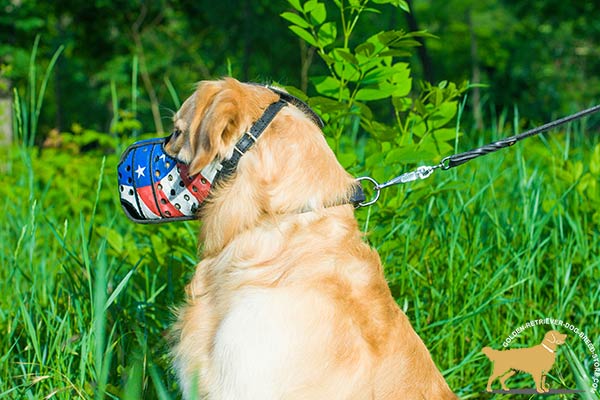 Golden-Retriever leather muzzle painted with adjustable straps for walking in style