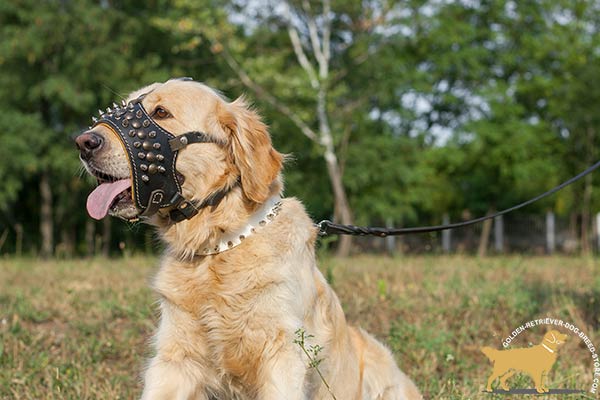 Golden-Retriever leather muzzle for snug fit Nappa padded for utmost comfort