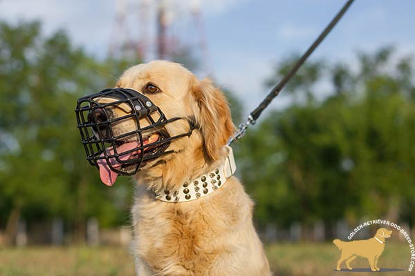 Golden Retriever wire cage muzzle for air circulation adjustable  for safe walking