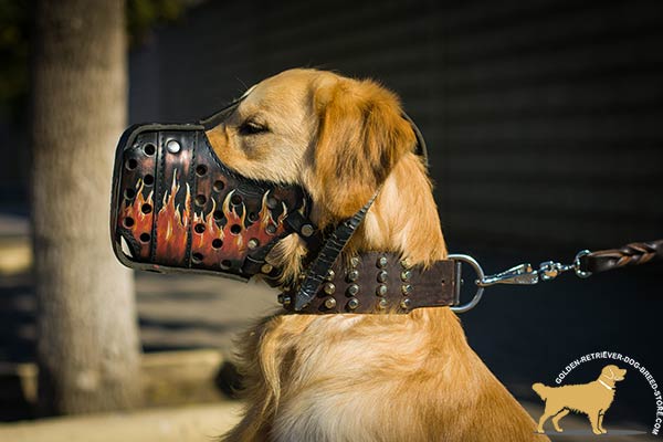 Handpainted Golden Retriever Muzzle of Strong Leather