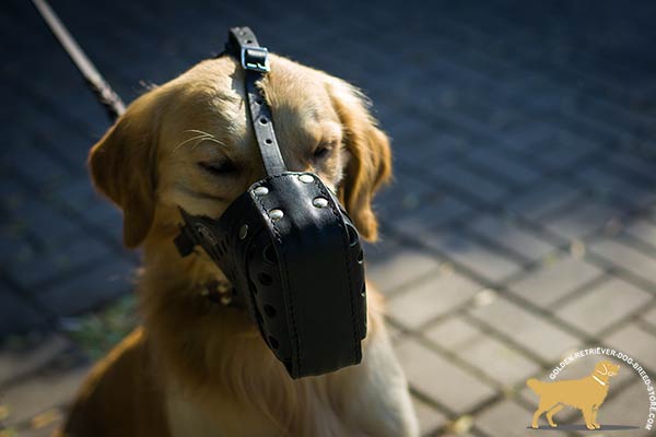 Free Breathing Dog Muzzle with Holes for Air Flow