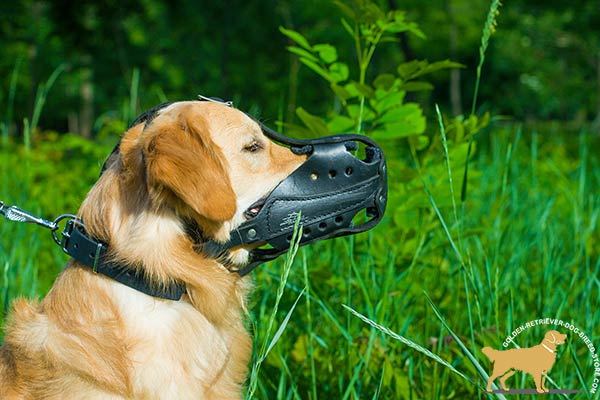 Leather Golden Retriever Muzzle for Service Dogs