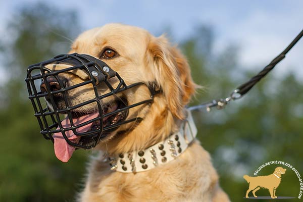 Rubber Covered Metal Cage Golden Retriever Muzzle