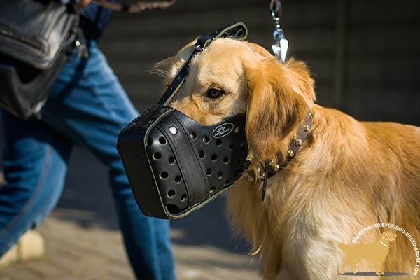 Easy-to-adjust Leather Golden Retriever Muzzle with Soft Padding