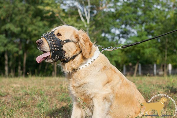 Nappa Padded Golden Retriever Muzzle for Free Breathing
