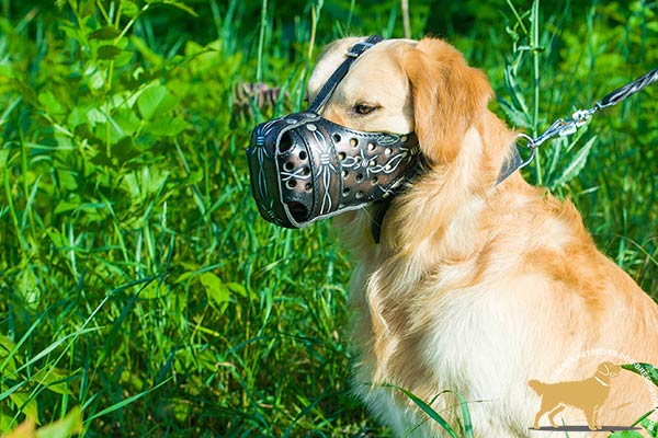 Leather Golden Retriever Muzzle with Barbed Wire Painting