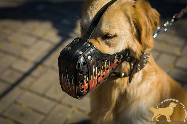 Dog-Safe Leather Golden Retriever Muzzle with Thick Nose Padding