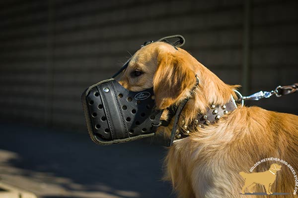 Universal Leather Golden Retriever Muzzle for Daily Walking