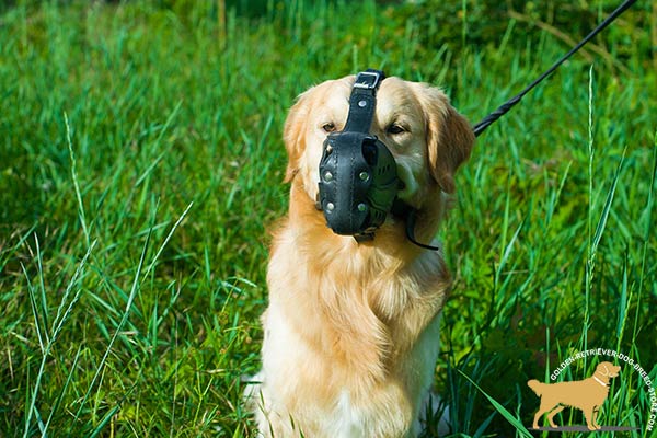 Ventilated Golden Retriever Muzzle with Thick Nose Padding