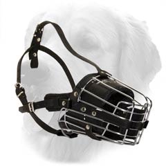 Metal And Leather Basket Muzzle