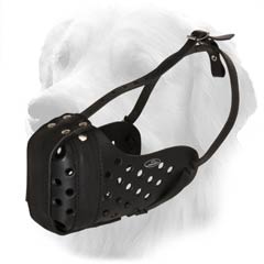 Hq Leather Muzzle For Golden Retrievers