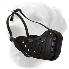 Leather Muzzle For Golden Retrievers
